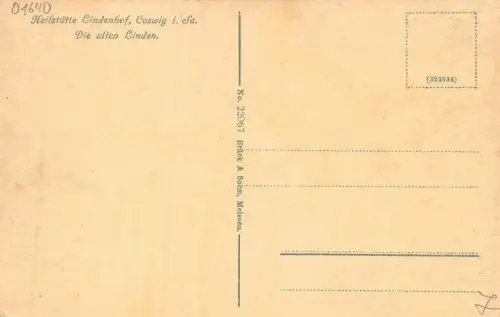 Die alten Linden Heilstätte Lindenhof in Coswig Sachsen Postkarte AK
