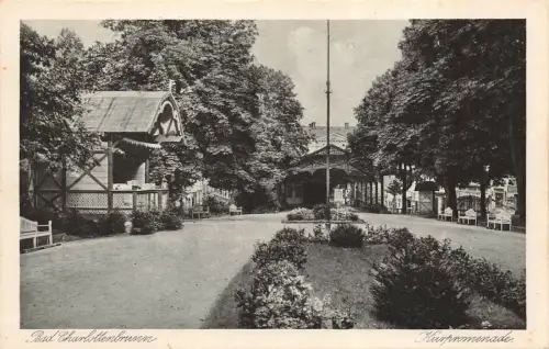 Bad Charlottenbrunn Kurpromenade Postkarte AK