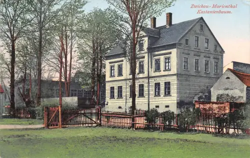 AK Zwickau Sachsen Restaurant Kastanienbaum Postkarte