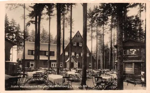 Waldschenke Raupennest in Altenberg Erzgebirge Sachsen Postkarte AK 1939