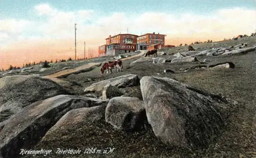 Riesengebirge Peterbaude 1288m.ü.M. Postkarte AK