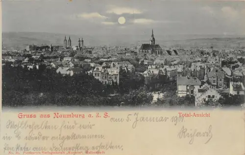 Gruss aus Naumburg a. d. S. Total-Ansicht Postkarte 1901