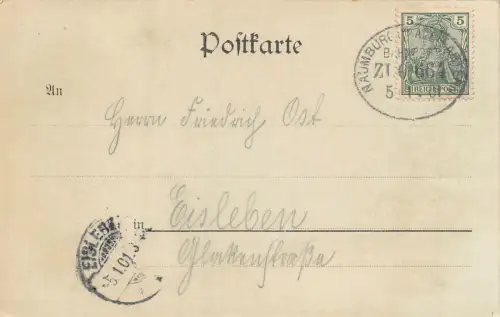 Gruss aus Naumburg a. d. S. Total-Ansicht Postkarte 1901
