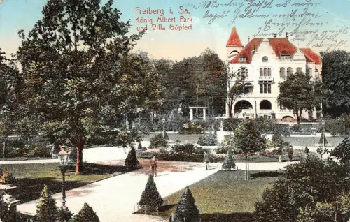 König Albert Park und Villa Göpfert in Freiberg Sachsen Postkarte AK