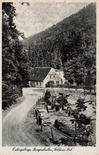 Eulengebirge Langenbielau (Bielawa) "Goldenes Sieb" Postkarte AK