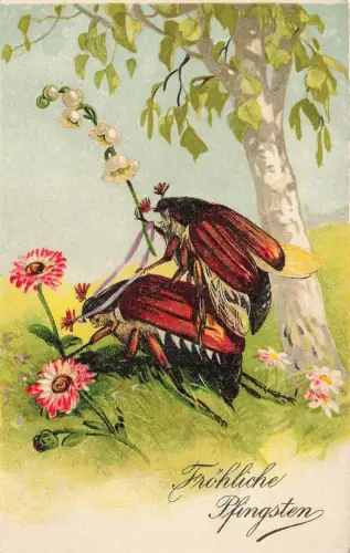 AK Fröhliche Pfingsten Maikäfer Postkarte