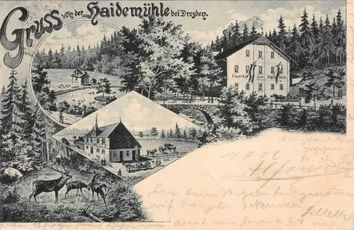 Gruss von der Haidemühle bei Dresden Gasthof Molkerei Postkarte AK 1897