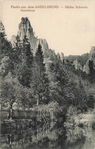 Partie Amselgrund Gansfelsen Sächsische Schweiz Sachsen Postkarte AK 1920