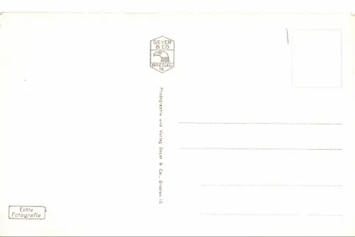 Ostseebad Rauschen Blick von der Venus Spitze Postkarte AK