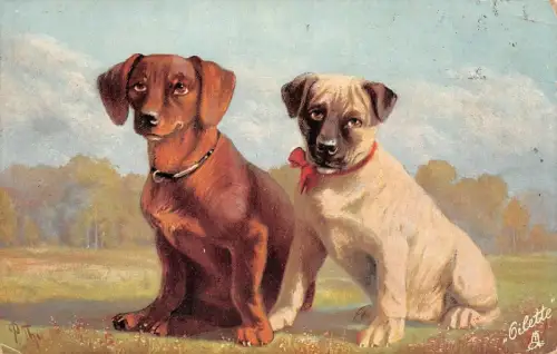 Dackel serie Nr. 467 OILETTE Postkarte 1917 Chemnitz