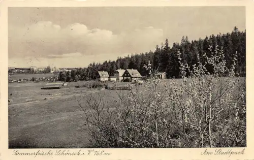 Sommerfrische Schöneck i. V. Am Stadtpark Postkarte AK 1938