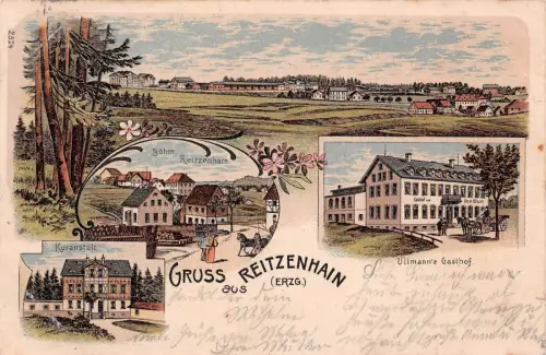 Gruss aus Reitzenhain (Erzg.) Kuranstalt Ullm. Gasthof Litho Postkarte AK 1903