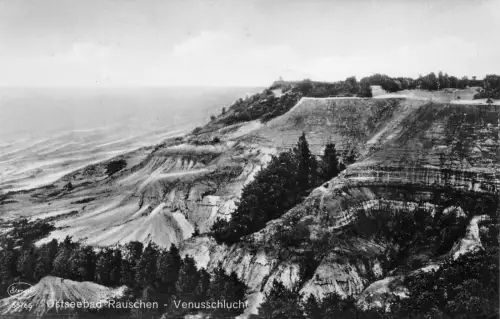 Ostseebad Rauschen / Swetlogorsk Venusschlucht Postkarte 1908