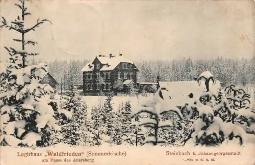 Logirhaus Waldfrieden im Winter Steinbach bei Johanngeorgenstadt Sachsen AK 1939