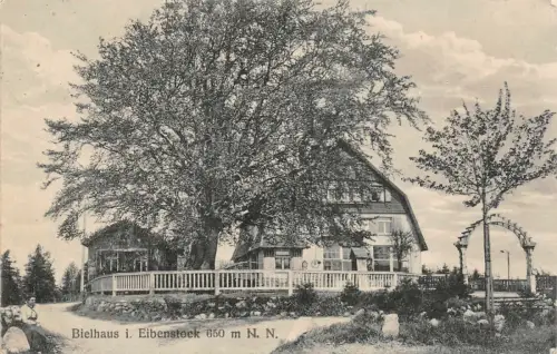 Bielhaus i. Eibenstock 650 m N. N. Postkarte AK