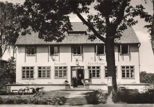 Gaststätte Forsthaus Markgrafenheide Rostock Mecklenburg-Vorpommern Postkarte AK