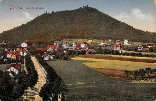 AK Görlitz Sachsen Landeskrone Postkarte 1919