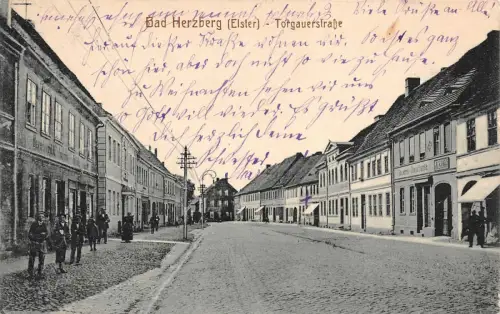 Bad Herzberg Elster Torgauerstrasse AK 1916