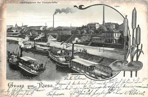 Gruss aus Riesa mit Landungsplatz der Dampfschiffe Sachsen Postkarte AK 1902