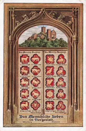 Das Menschliche Leben in Tiergestalt Wartburg Eisenach Thüringen Postkarte AK