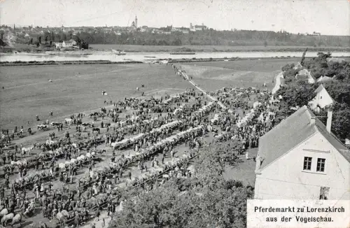 Pferdemarkt zu Lorenzkirch aus der Vogelschau Postkarte AK 1912