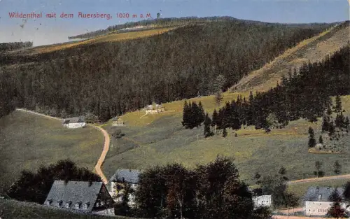 Sommerfrische Wildenthal mit dem Auersberg Sachsen Postkarte AK 1927
