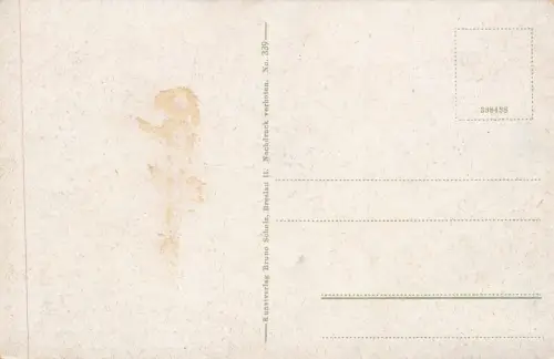 Am Ring mit Kirche in Haynau Schlesien Postkarte AK