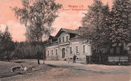 Bergen i. V. Gasthof Waldschlößchen Bahnhofs-Restaurant Postkarte AK