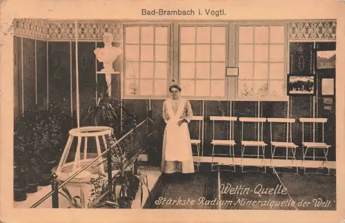 Wettin-Quelle in Bad-Brambach Vogtland Sachsen Postkarte AK 1916
