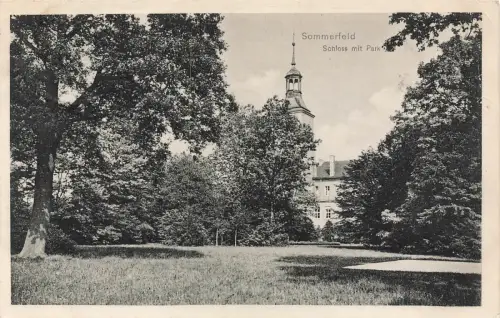 AK Sommerfeld Schloss Park Ostbrandenburg 1913 gelaufen Postkarte