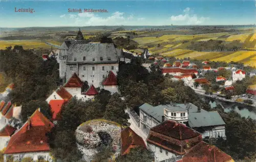 Stadtansicht und Schloss Mildenstein Leisnig Sachsen Postkarte AK 1915