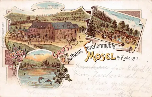 Gruss aus dem Gasthaus Forellenmühle Mosel b/Zwickau Waldpark Litho AK 1904