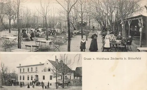AK Bitterfeld Waldhaus Zöckeritz Sachsen-Anhalt 1908 gelaufen Postkarte