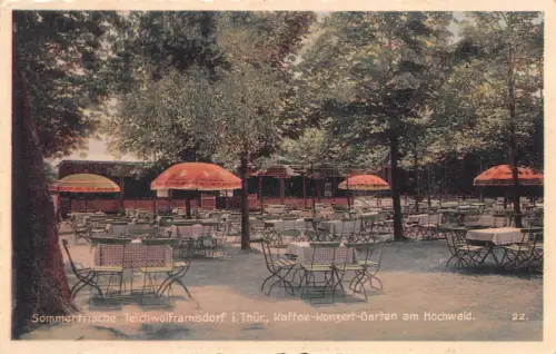 Sommerfrische Teichwolframsdorf i. Thür. Kaffee-Konzert-Garten Hochwald AK