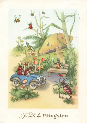 AK Pfingsten Käfer im Auto