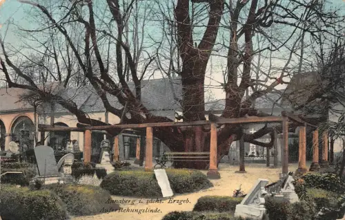 Annaberg i. sächs. Erzgeb. Auferstehungslinde Postkarte AK 1914