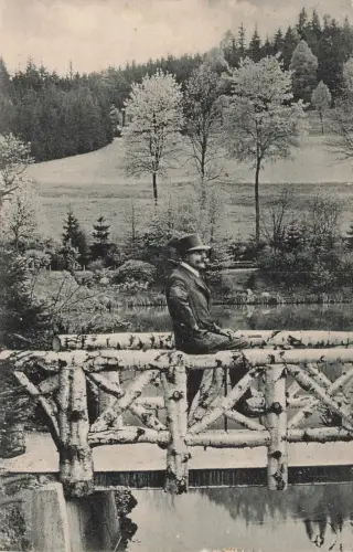 Partie am Gondelteich in Bad Elster Vogtland Sachsen Postkarte AK 1917