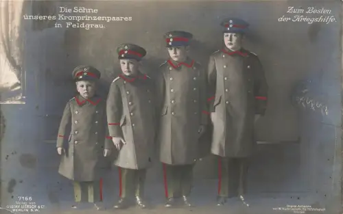 AK 1.WK Söhne Kronprinzenpaar Feldgrau 1916 gelaufen Patriotika Postkarte