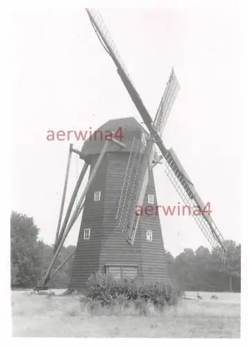 Windmühle Windmill in Bokrijk Belgien 1959 Orig. Aufnahme