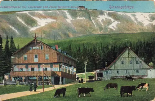 AK Riesengebirge Schlingelbaude Prinz Heinrich Baude Schlesien 1913 Postkarte