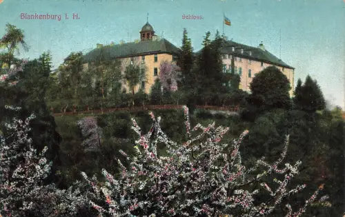 AK Blankenburg Schloss Sachsen-Anhalt Harz 1911 gelaufen Postkarte