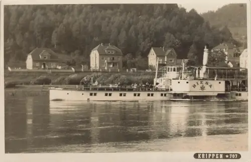 AK Krippen Schaufelraddampfer Riesa Sächsische Schweiz Sachsen 1932 Postkarte