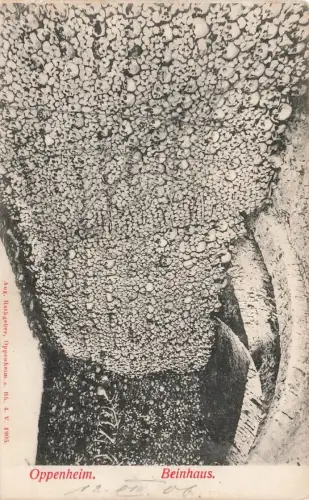 AK Oppenheim Beinhaus Rheinland-Pfalz 1906 gelaufen Postkarte