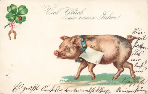 AK Neujahr Viel Glück Glückssymbole Glücksschwein gelaufen 1904 Postkarte