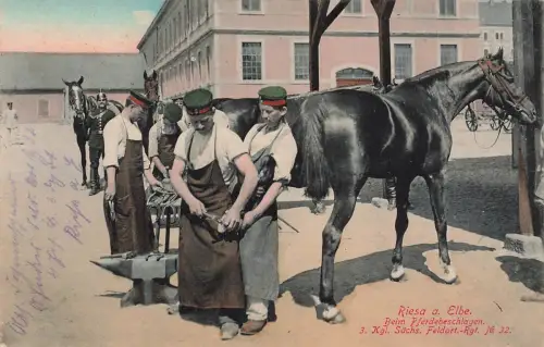 AK Riesa Pferdebeschlagen 3. Sächs. Feldatillerie Rgt. 32 Sachsen 1915 Feldpost