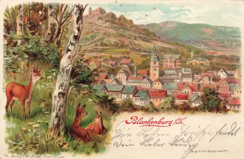 AK Blankenburg Stadtansicht Kirche Rehe Thüringen 1902 Postkarte