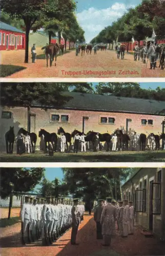AK Zeithain Truppen Übungsplatz Pferde Sachsen 1916 gelaufen Feldpostkarte