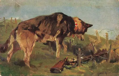 AK 1.WK Sanitätshund entdeckt Verwundeten Wolfsgrube gelaufen Patriotika