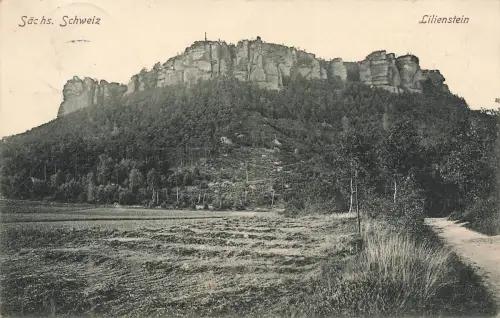 AK Sächsische Schweiz Lilienstein Sachsen 1909 gelaufen Postkarte
