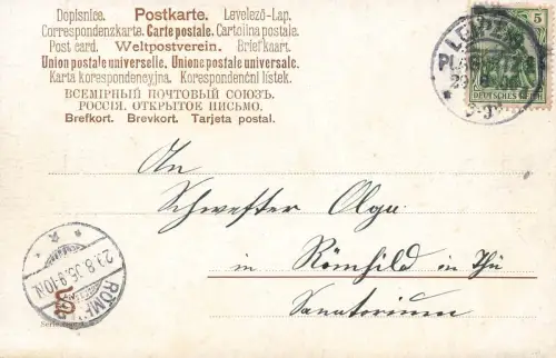 Dackel mit Hennen Künstler Postkarte 1905 Leipzig
